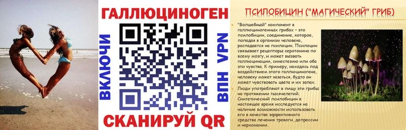 купить наркотики цена  дарк нет формула  Псилоцибиновые грибы Psilocybine cubensis  Мыски  МЕГА как войти 